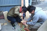 2009_0329hachimitu0015.jpg