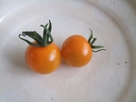 2009_0803katashina0010.jpg