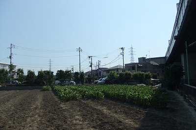 DSCF2476.jpg