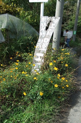 DSCF4376.jpg
