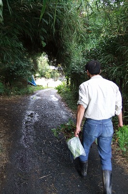 DSCF4377.jpg