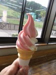 DSCF8394.jpg