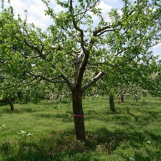 RIMG0058.jpg