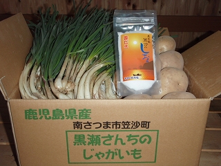 sp-P2230150.jpg