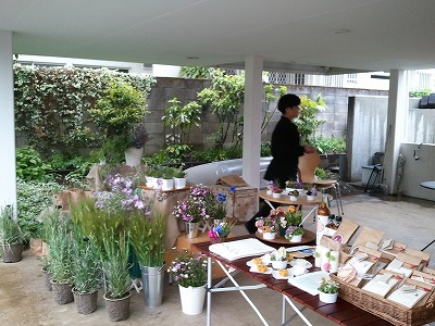 国分寺20110507 105.jpg